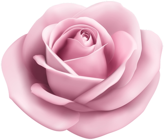 ����ͻ����ɫõ�廨��PNG���ͼ