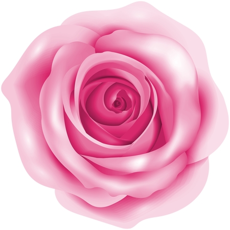 ��ɫõ�廨����PNG���ͼ