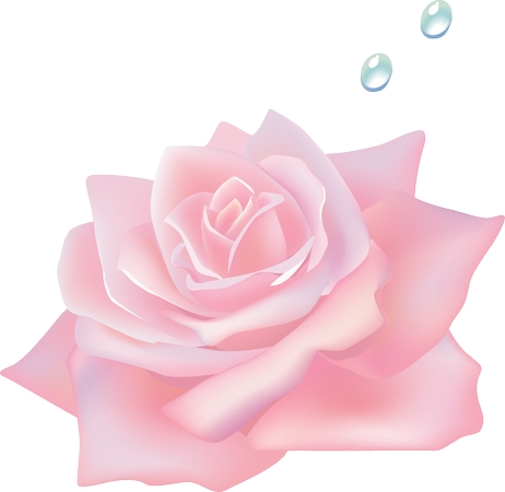 ��ɫõ�廨�ܲ廭PNG���ͼ