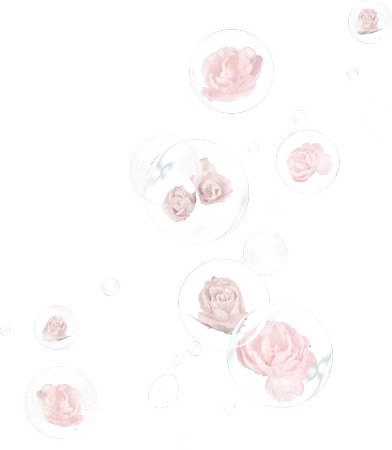 ͸������о��·�ɫõ�廨����PNG���ͼ