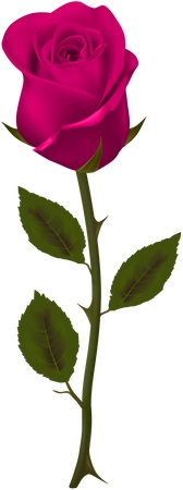 ����ϸ��Ҷ��ɫõ�廨PNG���ͼ