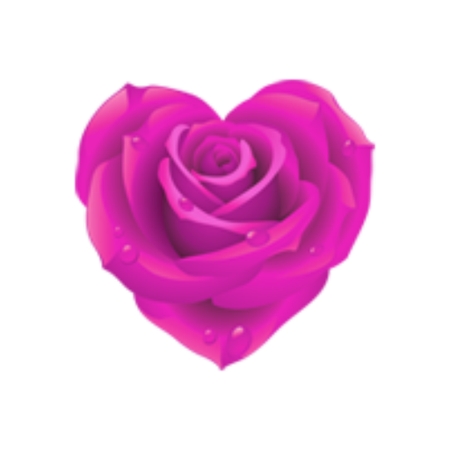 ���η�ɫõ�廨�廭PNG���ͼ