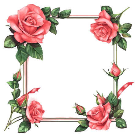 ���ŷ�ɫõ�廨�ܿ��PNG���ͼ