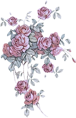 ���ŷ�ɫõ�廨���廭PNG���ͼ