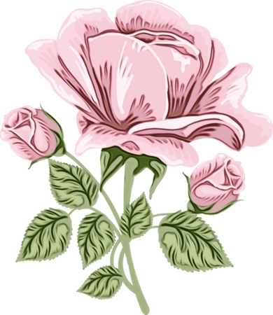 ����Ҷ�ͻ��ٷ�ɫõ�廨PNG���ͼ