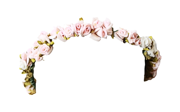 ��ɫõ�廨�����ں���PNG���ͼ