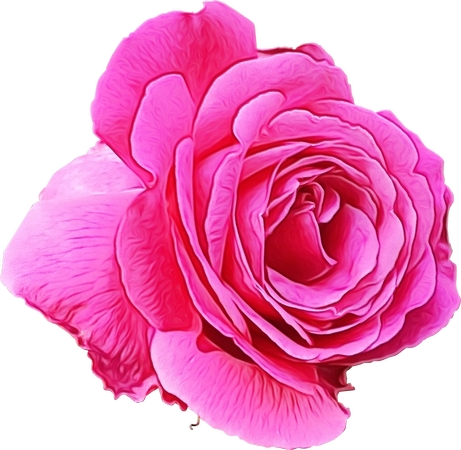 ��ɫõ�廨��д���ܲ廭PNG���ͼ