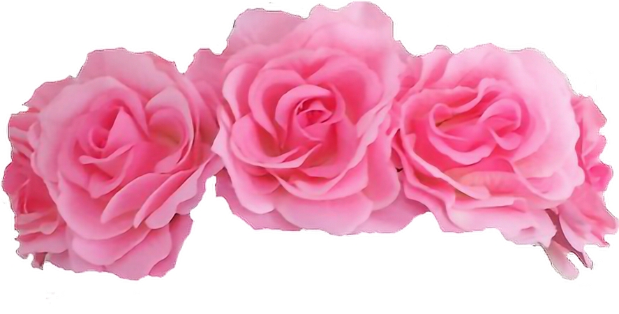 ��ɫõ�廨��װ�����PNG���ͼ