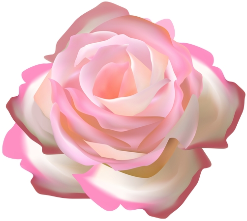 ���·�ɫõ�廨��廭PNG���ͼ