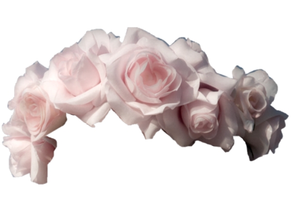 ���·�ɫõ�廨������PNG���ͼ