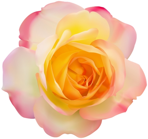 �Ʒ�ɫõ�廨��PNG���ͼ