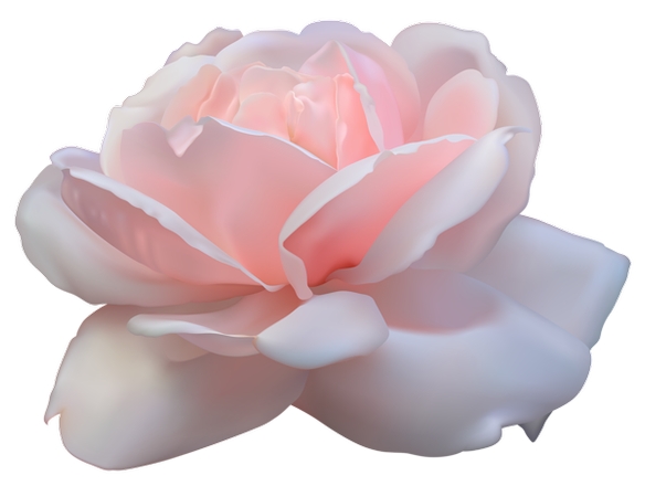 ����ͻ���ʢ����ɫõ�廨PNG���ͼ