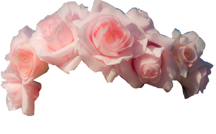 ��ɫõ�廨������ͷ��PNG���ͼ