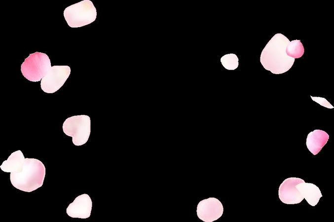 Ʈ���ɫõ�廨��PNG���ͼ