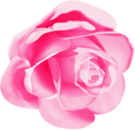 ���޷�ɫõ�廨��дPNG���ͼ