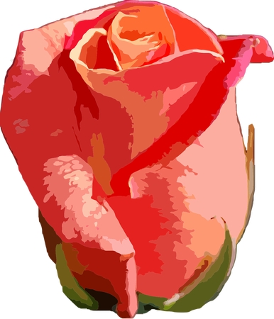 ��ɫõ�廨��ϸ������дPNG���ͼ