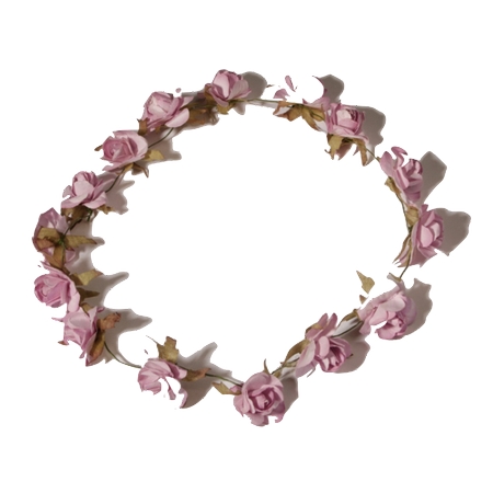 ��õ�廨��ɫ���ܻ���PNG���ͼ