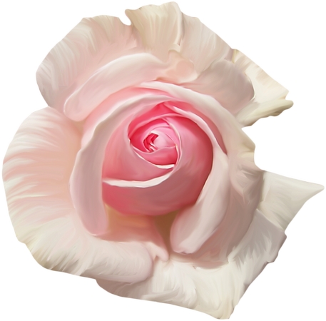 ��ɫõ�廨��д�廭PNG���ͼ