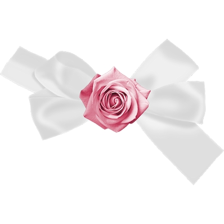 ��˿���Ϸ�ɫõ�廨PNG���ͼ