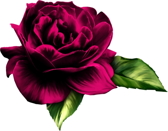 ����Ҷ���ɫõ�廨PNG���ͼ