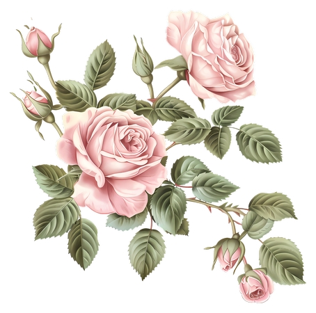 ���ŷ���ɫõ�廨�廭PNG���ͼ