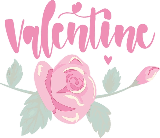 ����ɫõ�廨���˽��ʺ����PNG���ͼ