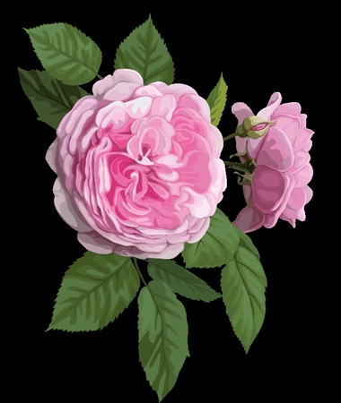 ��Ҷ�ӱ����ɫõ�廨PNG���ͼ