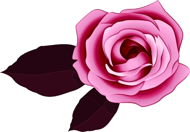 ����Ҷ��ɫõ�廨�廭PNG���ͼ