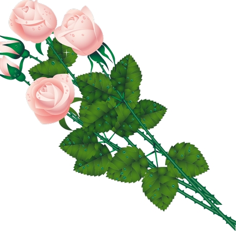 ��Ҷ�ӷ�ɫõ�廨���廭PNG���ͼ