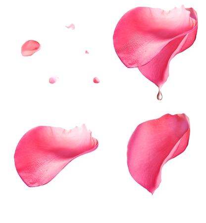 �����ˮ�η�ɫõ�廨��PNG���ͼ