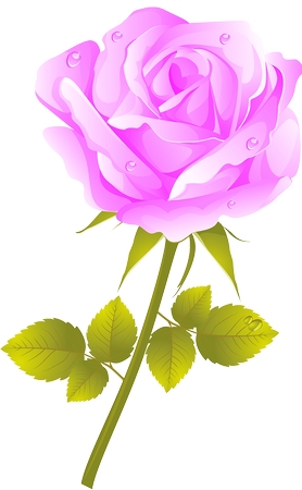 ��¶�����Ҷ��ɫõ�廨�廭PNG���ͼ