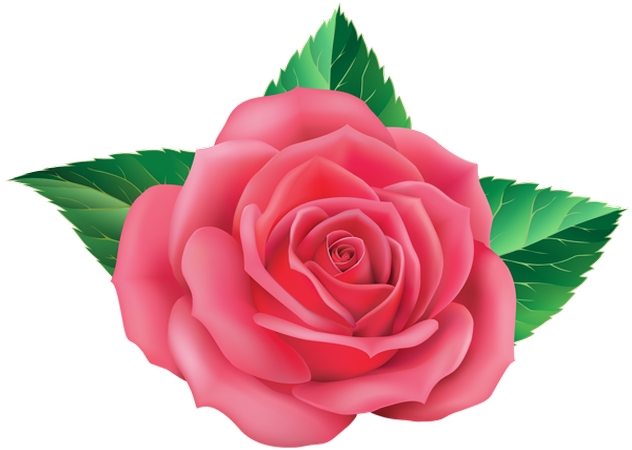 ����Ҷ��ɫõ�廨�廭PNG���ͼ