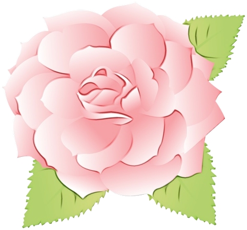 ����Ҷϸ�ڷ�ɫõ�廨�廭PNG���ͼ