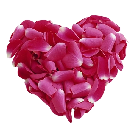 ��ɫõ�廨���Ƴ�����PNG���ͼ