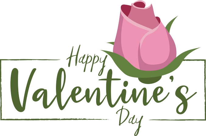 ���˽��ʺ��ɫõ�廨PNG���ͼ