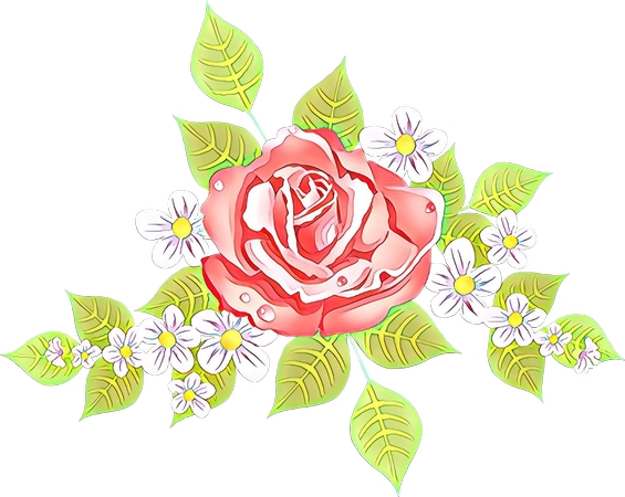 ��ɫõ�廨�ͳ��ջ������PNG���ͼ