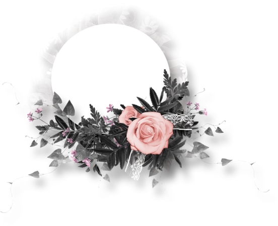 ����ɫõ�廨�ܻ���PNG���ͼ