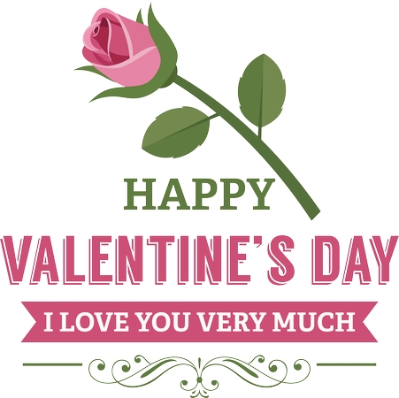 ��õ�廨�������˽����PNG���ͼ