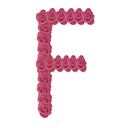 õ�廨�Ƴɻ�����ĸFPNG���ͼ