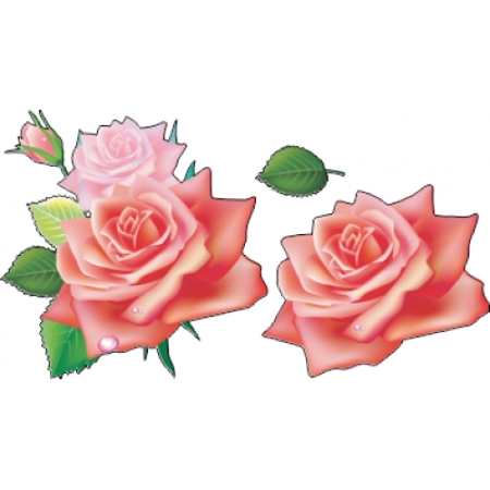 ��Ҷ�ӷ�ɫõ�廨�廭PNG���ͼ