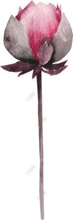 ˮ��õ�廨�ٲ廭PNG���ͼ