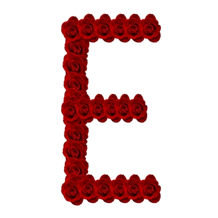 ��õ�廨�Ƴ���ĸEPNG���ͼ