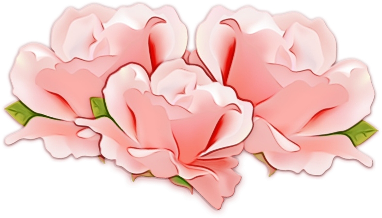 �ɰ���ɫ���廭PNG���ͼ