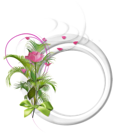 ����ɫõ�廨���Ż��ܿ��PNG���ͼ