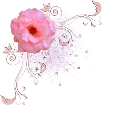 ��װ�����еķ�ɫ��PNG���ͼ