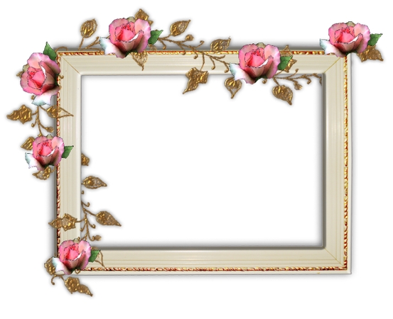 ����ɫõ�廨��װ�λ����PNG���ͼ