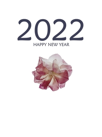 ��2022�����ʺ�Ļ���PNG���ͼ