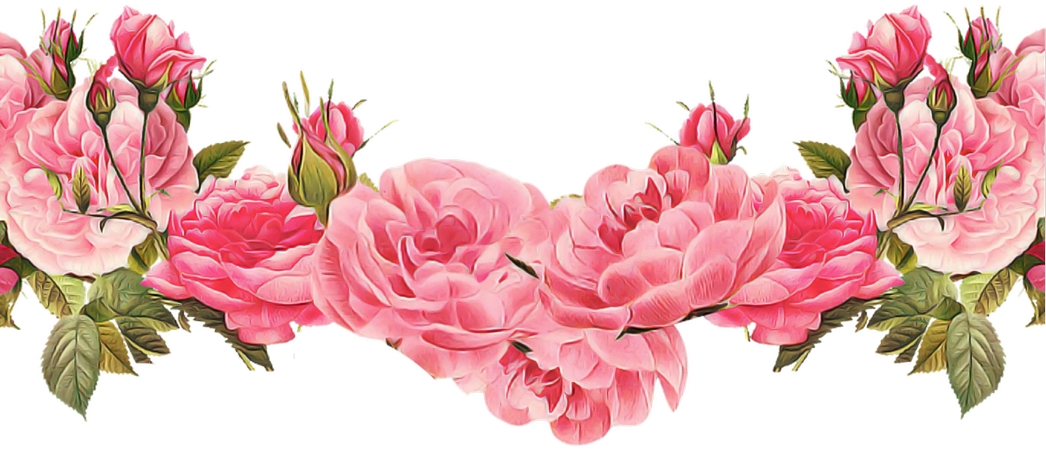 ��ɫõ�廨��PNG���ͼ