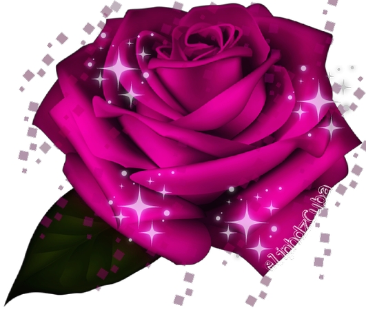 ʢ����������õ�廨PNG���ͼ