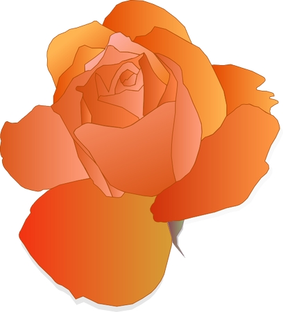 ʢ����������õ�廨PNG���ͼ